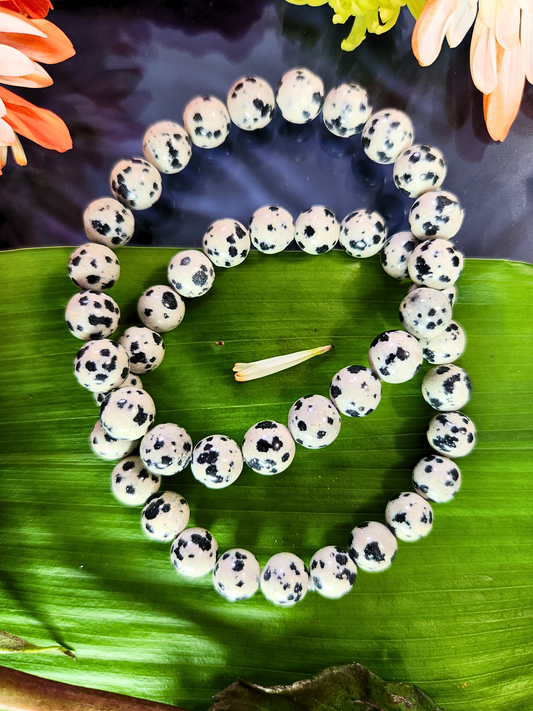 Dalmatian Jasper Bracelet
