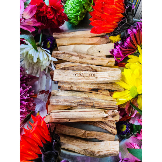 Palo Santo Sticks (Holy Wood)