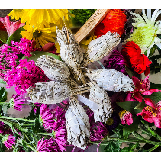 White Sage Smudge Stick
