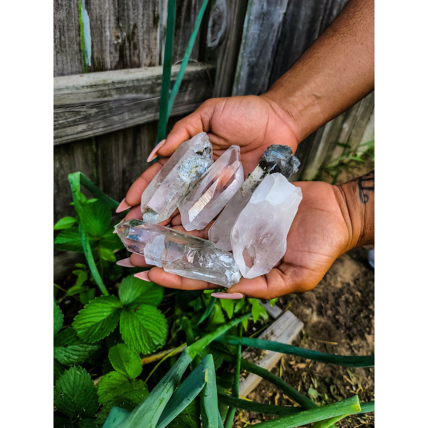 Clear Quartz Points