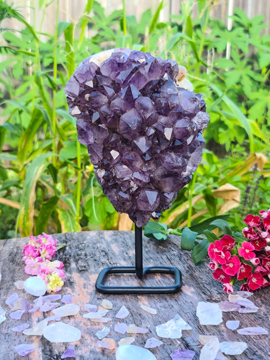 Amethyst Cluster with a Stand