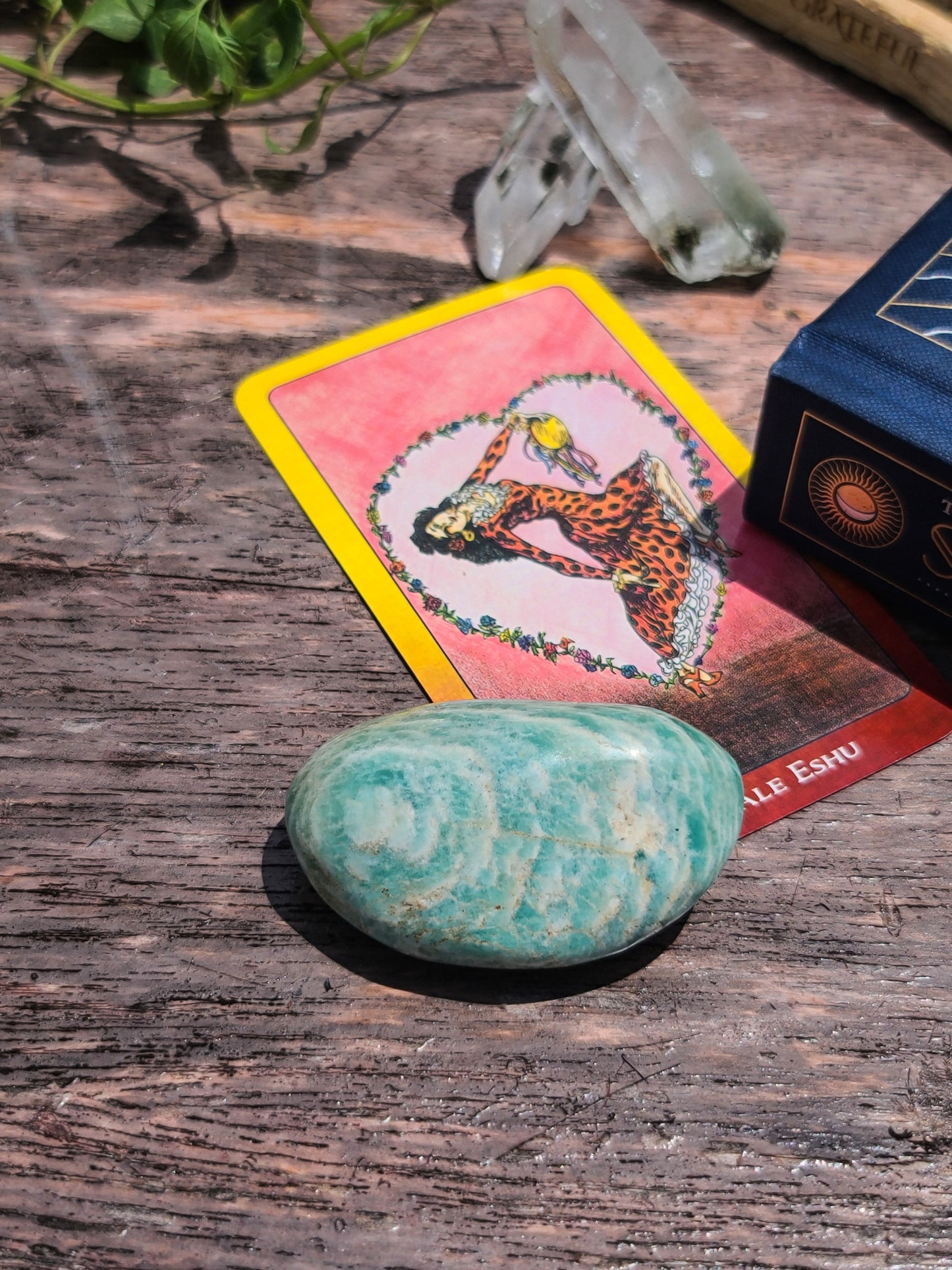 Amazonite Palm Stone