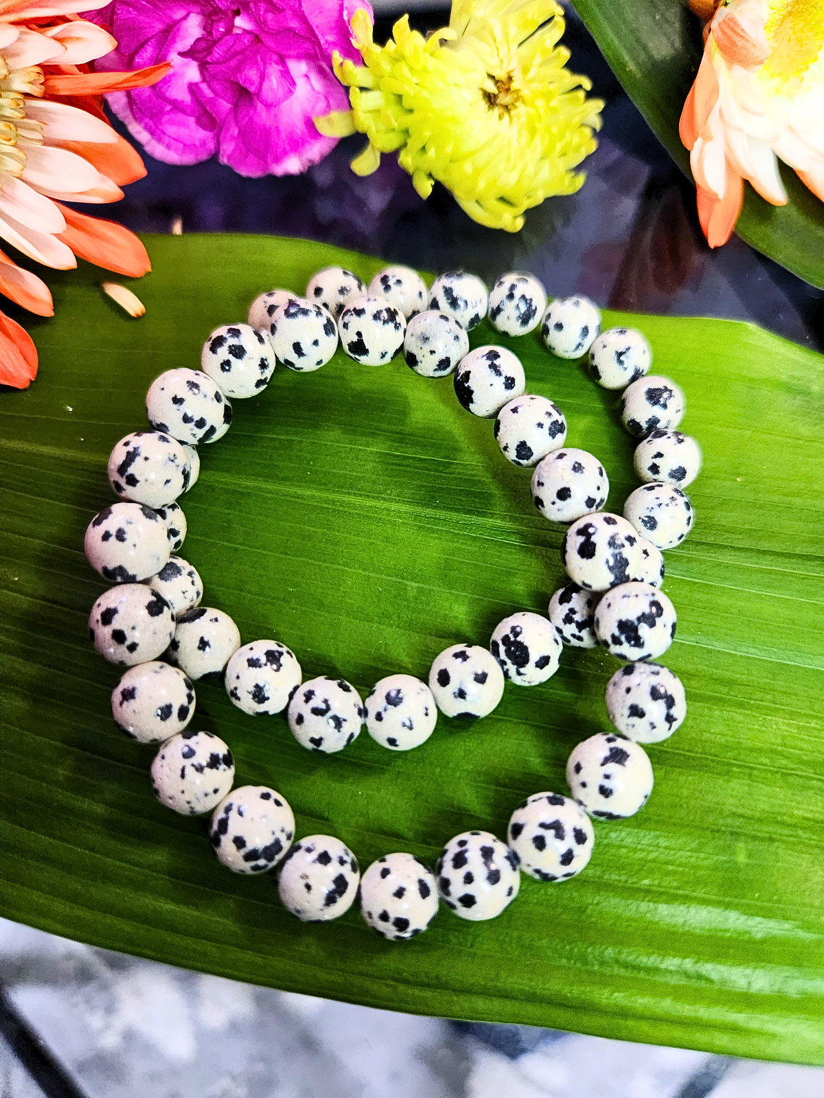 Dalmatian Jasper Bracelet